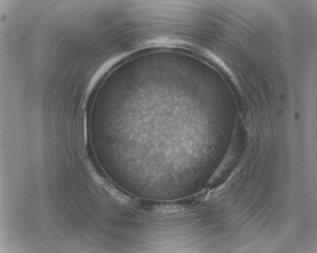 X0000078231323200611171424