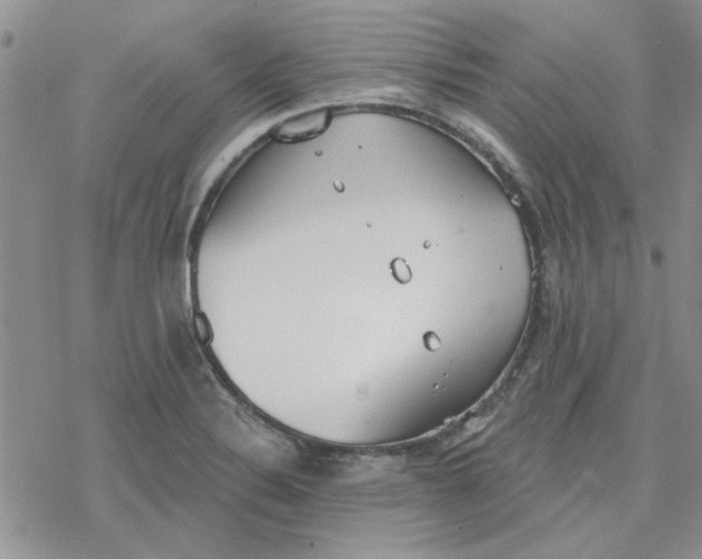 X0000078231324200611171424