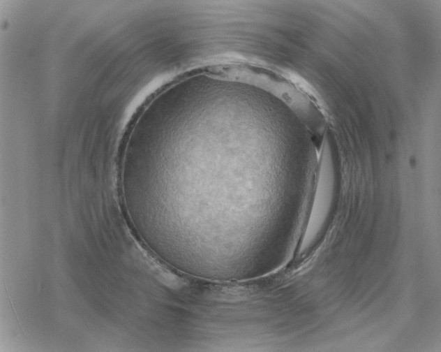 X0000078231326200611171424