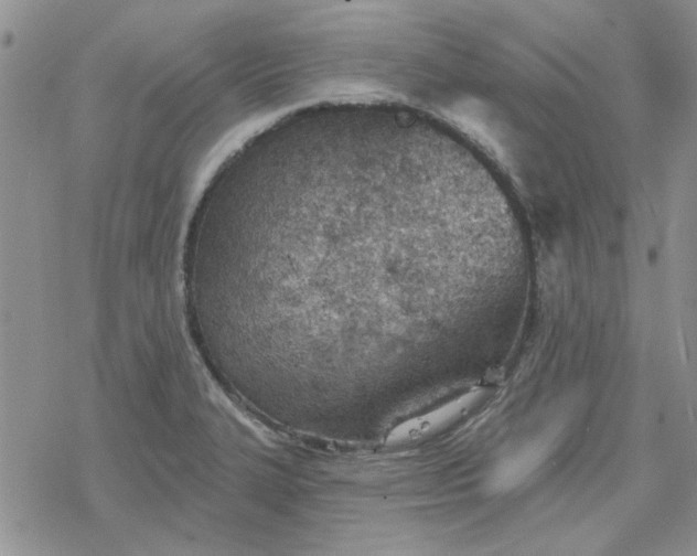 X0000078231327200611171424