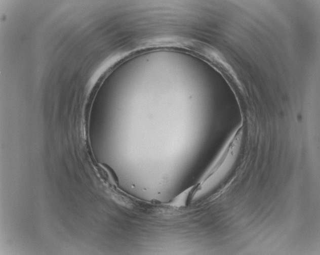 X0000078231328200611171424