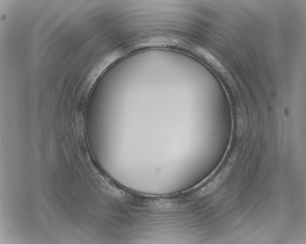 X0000078231329200611171424