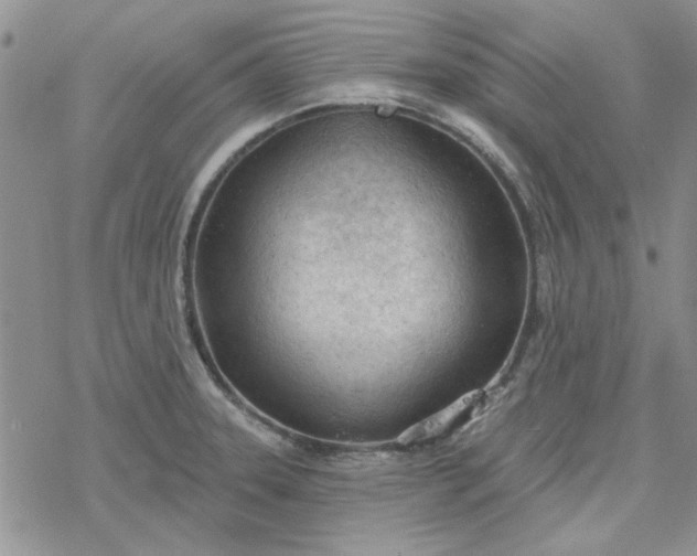 X0000078231331200611171424