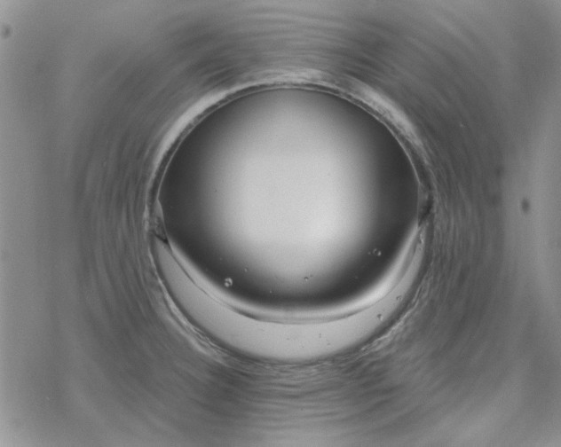 X0000078231332200611171424