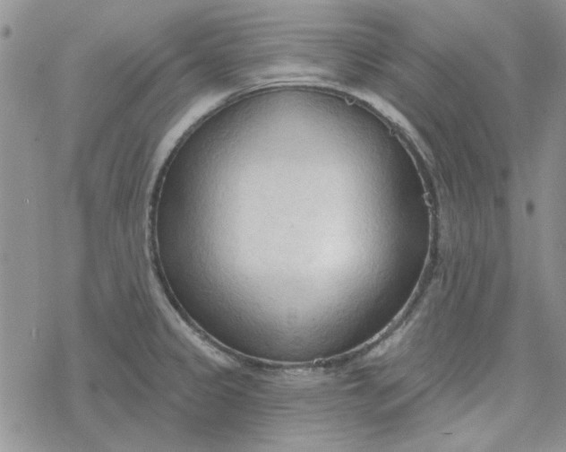 X0000078231333200611171424