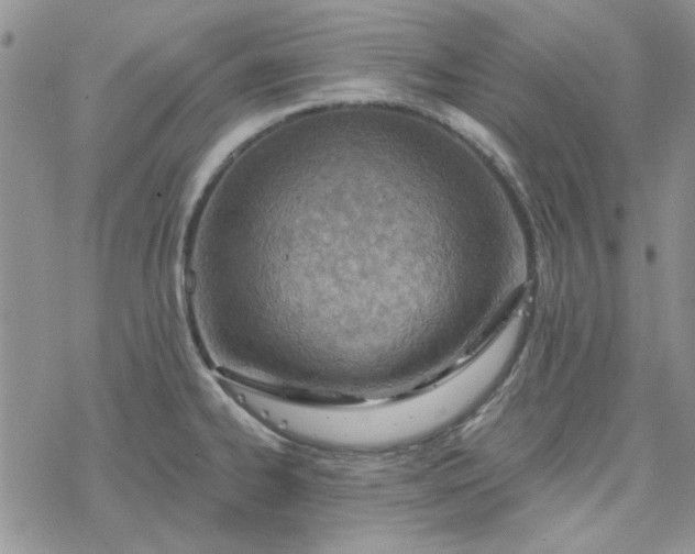 X0000078231334200611171424