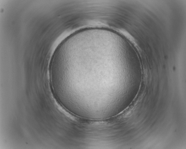 X0000078231335200611171424