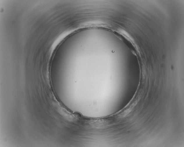 X0000078231336200611171424