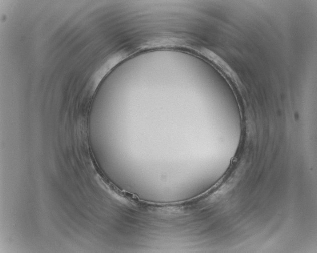 X0000078231337200611171424