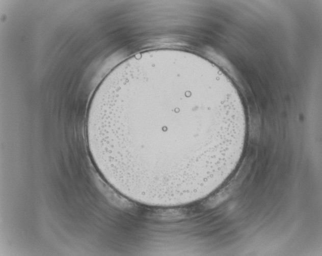 X0000078231338200611171424