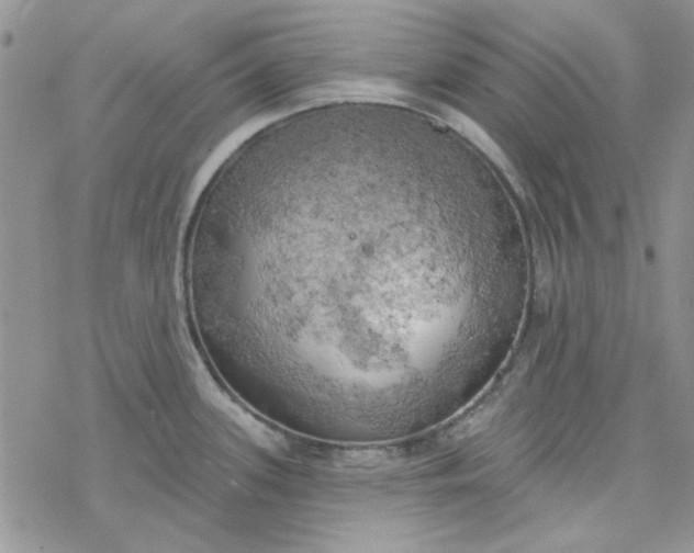 X0000078231339200611171424