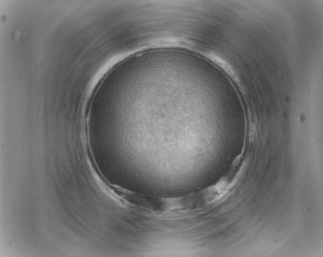 X0000078231342200611171424