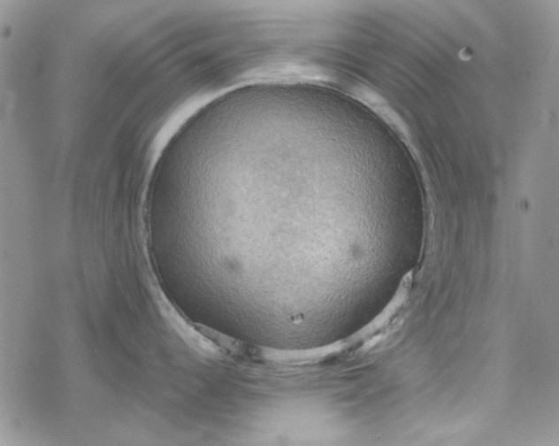 X0000078231344200611171424