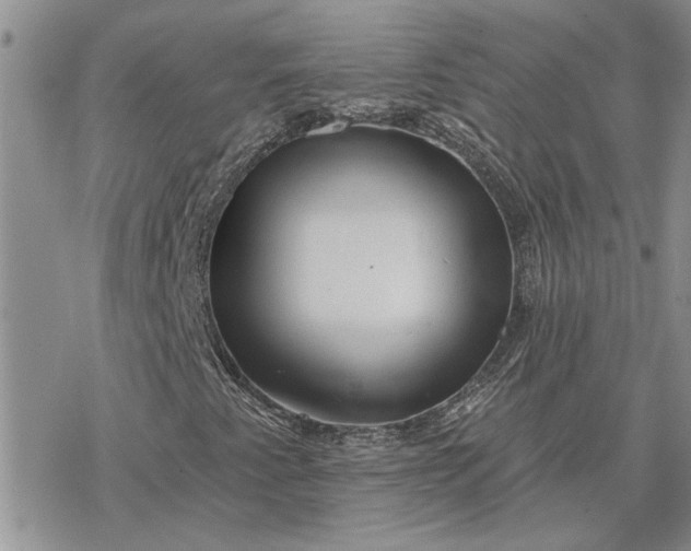 X0000078231345200611171423