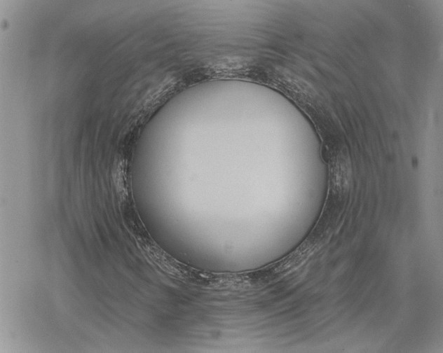 X0000078231346200611171423