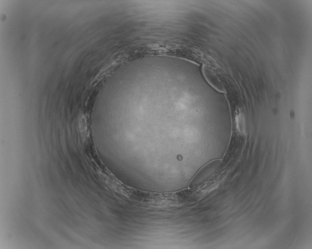 X0000078231347200611171423