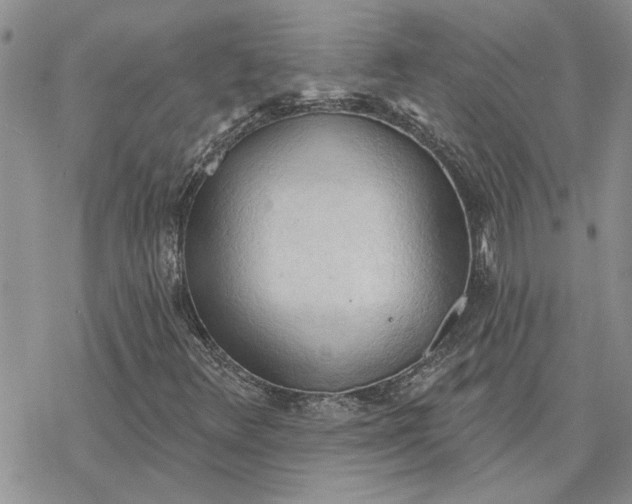 X0000078231348200611171423