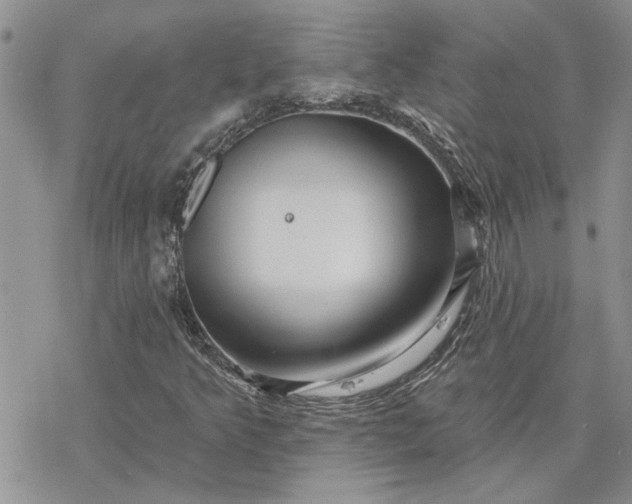 X0000078231349200611171423