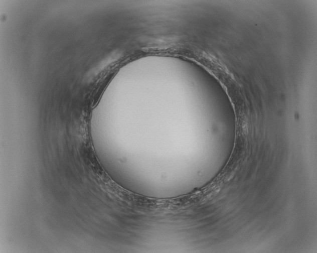 X0000078231350200611171423