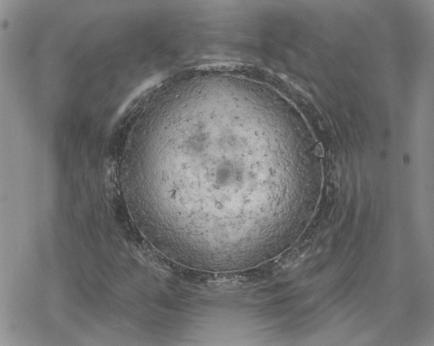 X0000078231351200611171423