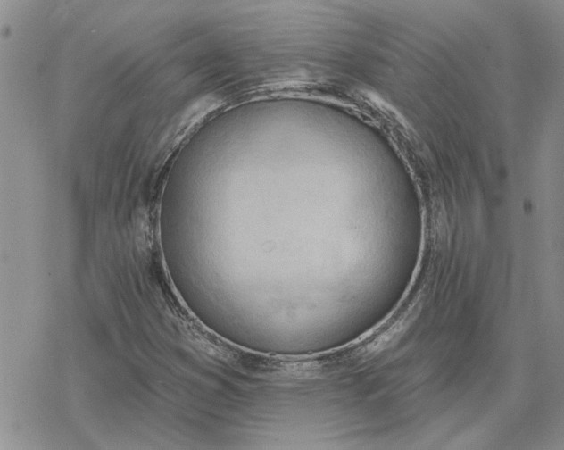 X0000078231353200611171423