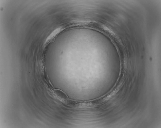 X0000078231354200611171423