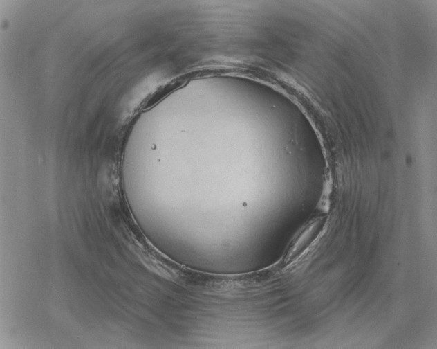 X0000078231355200611171423