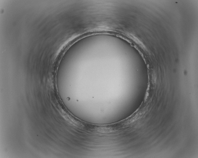 X0000078231356200611171423