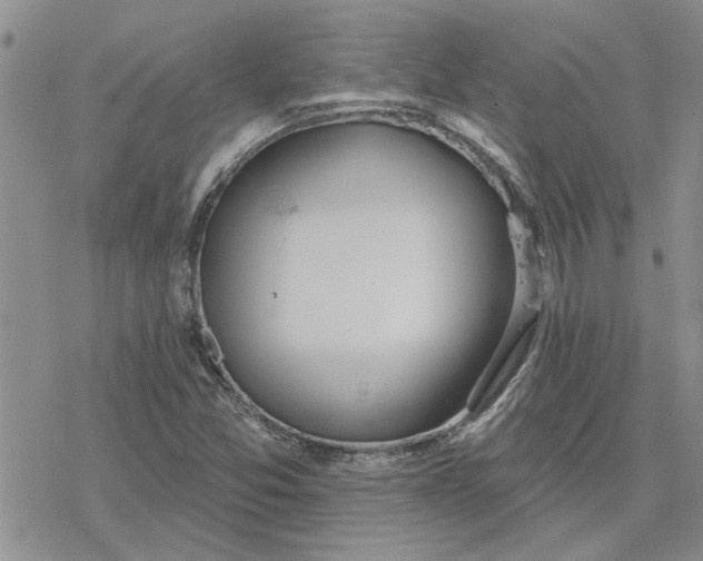 X0000078231357200611171423