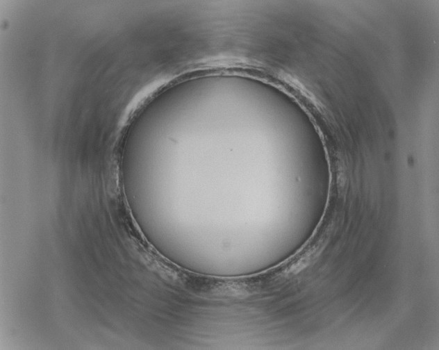 X0000078231358200611171423