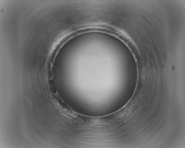 X0000078231360200611171423