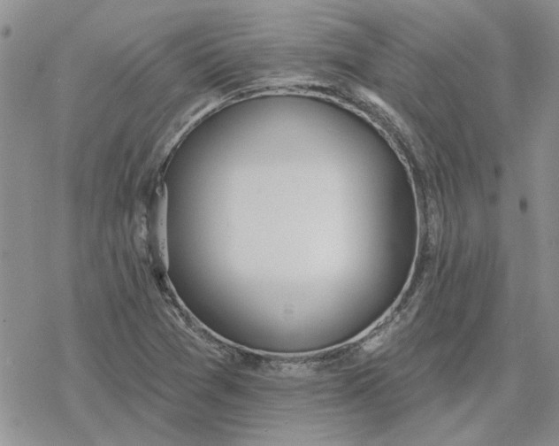 X0000078231361200611171423