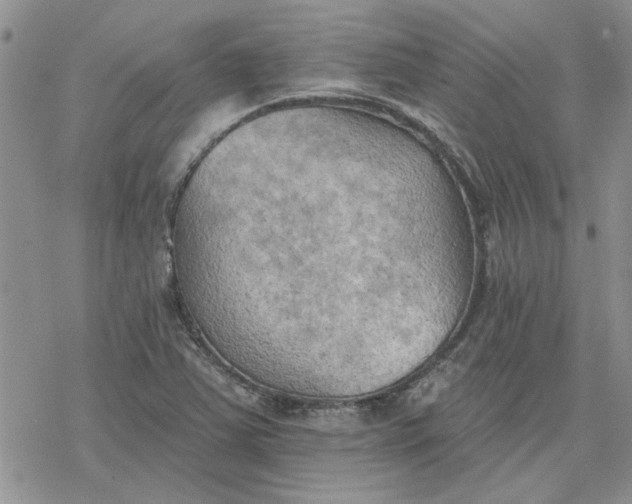 X0000078231363200611171423