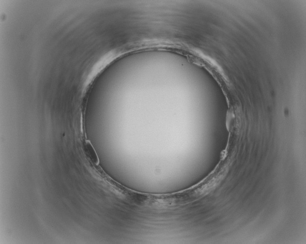 X0000078231365200611171423