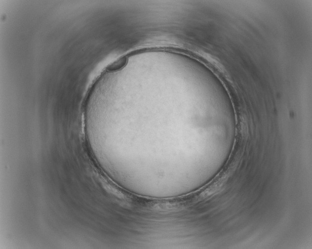 X0000078231366200611171423