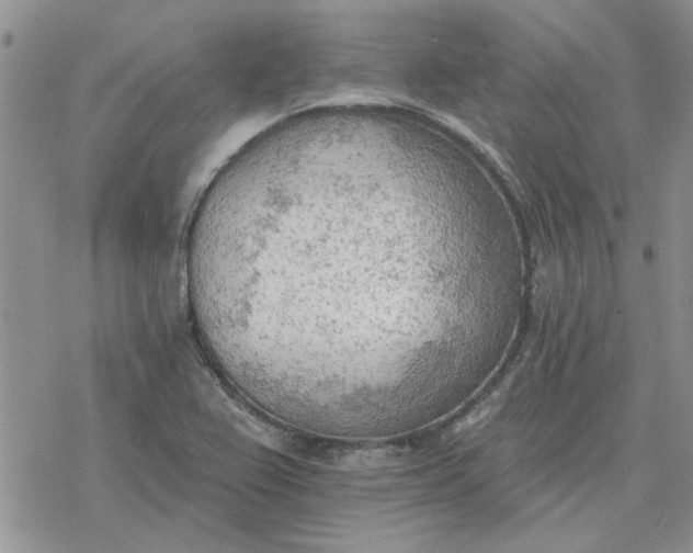 X0000078231367200611171423