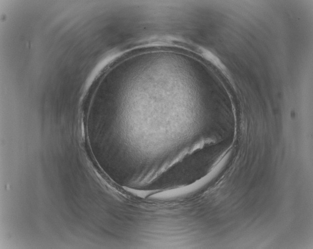 X0000078231368200611171423