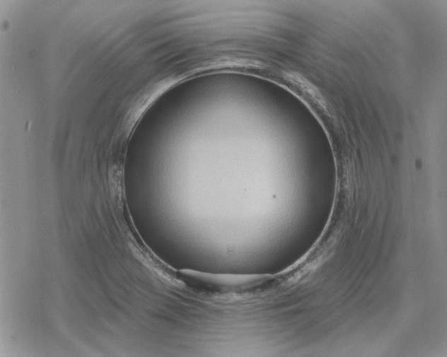 X0000078231369200611171423