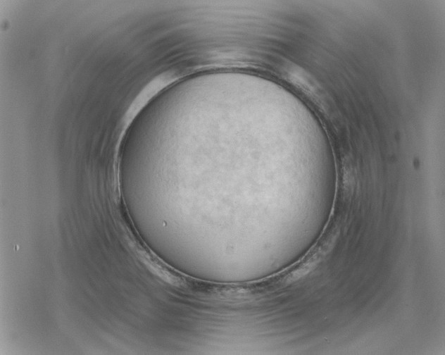 X0000078231370200611171423