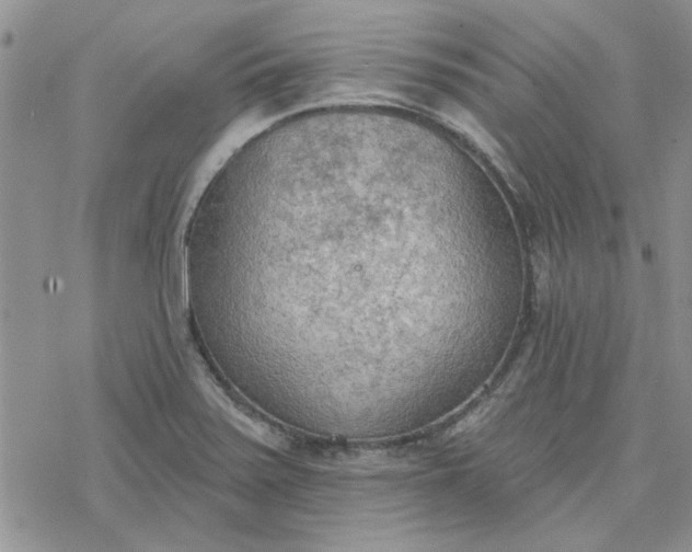 X0000078231371200611171423