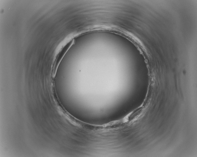 X0000078231373200611171423