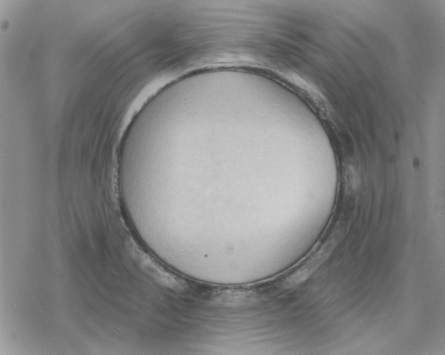 X0000078231374200611171423