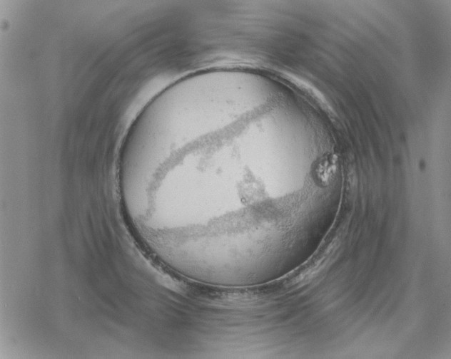 X0000078231375200611171423