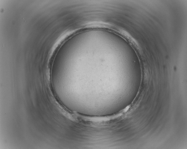 X0000078231376200611171423