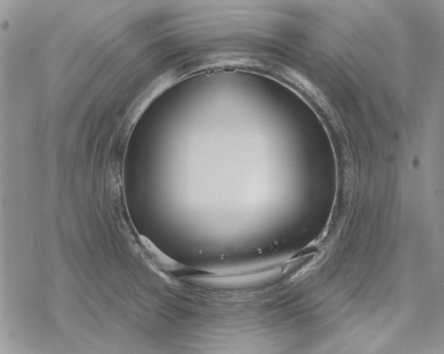 X0000078231377200611171423