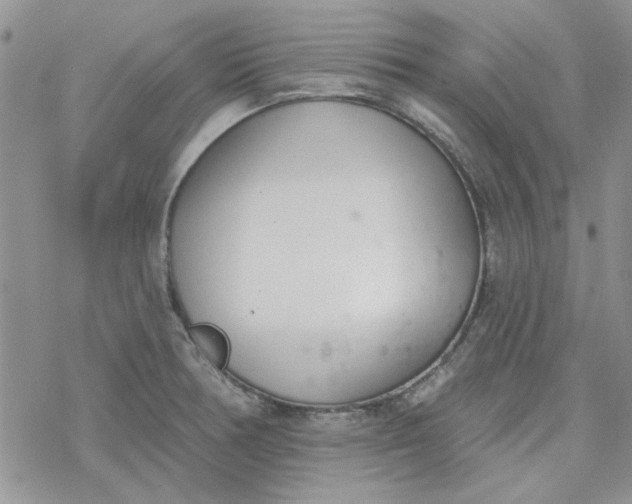 X0000078231378200611171423