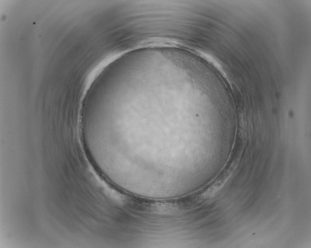 X0000078231379200611171423