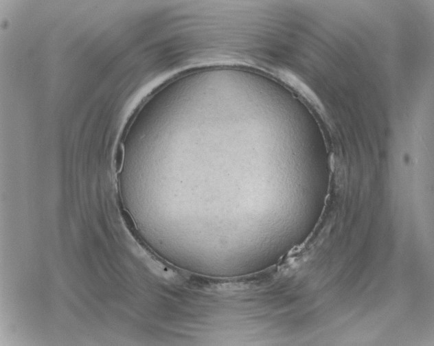 X0000078231380200611171423