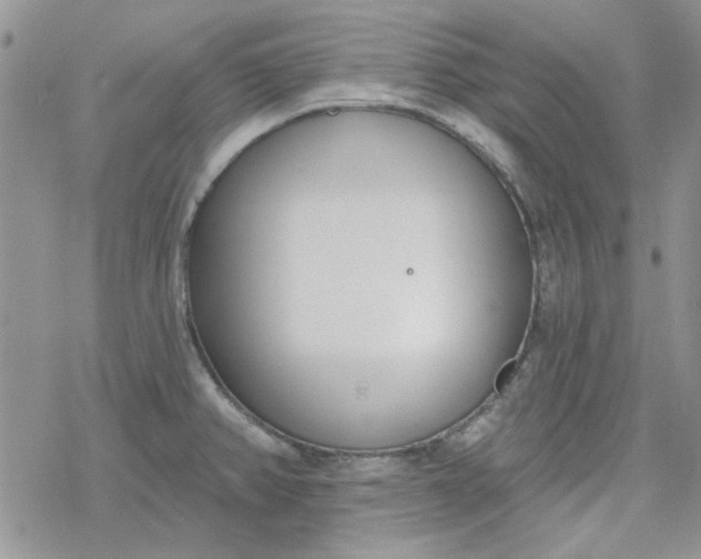 X0000078231382200611171423