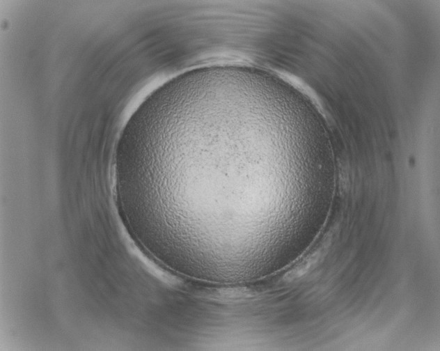 X0000078231383200611171423